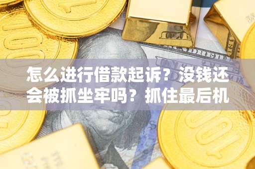 北京怎么进行借款起诉？没钱还会被抓坐牢吗？抓住最后机会！