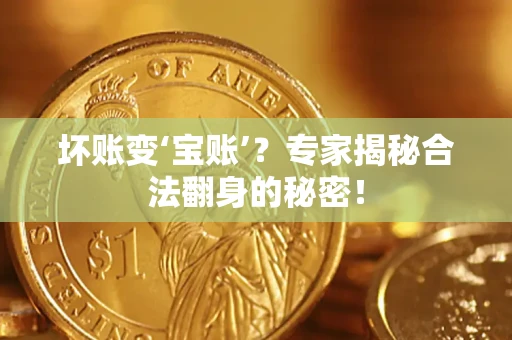 北京坏账变‘宝账’？专家揭秘合法翻身的秘密！