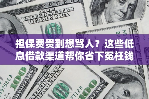 北京担保费贵到想骂人？这些低息借款渠道帮你省下冤枉钱