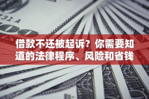 北京借款不还被起诉？你需要知道的法律程序、风险和省钱技巧